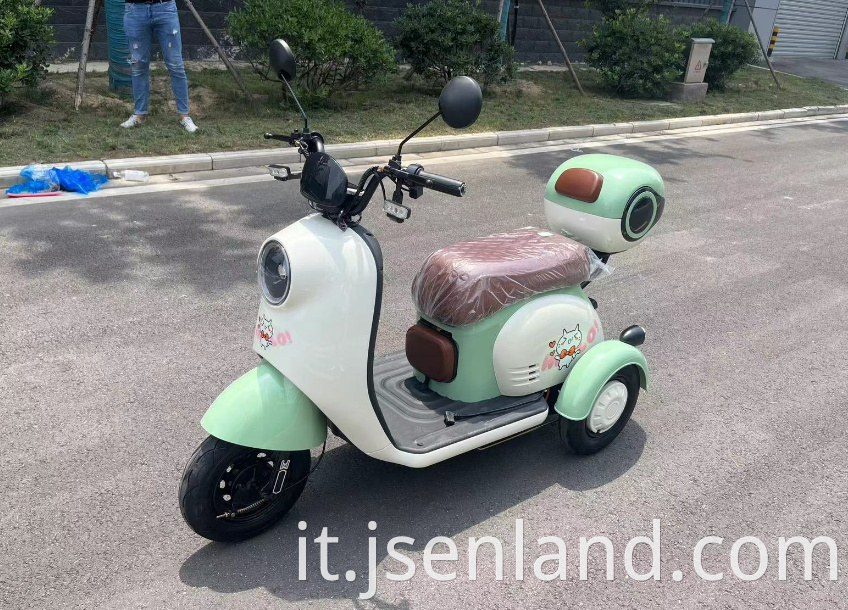 Electric Mini Tricycle